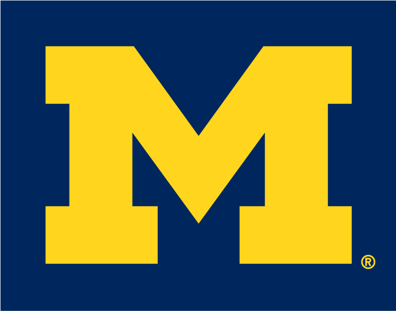 Michigan Wolverines 1996-Pres Alternate Logo v2 diy iron on heat transfer